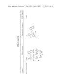 CD40 Signalling Inhibitor and a Further Compound, Wherein the Further     Compound is a Bile Acid, a Bile Acid Derivative, an TGR5-Receptor     Agonist, an FXR Agonist or a Combination Thereof, for the Treatment of     Chronic Inflammation, and the Prevention of Gastrointestinal Cancer or     Fibrosis diagram and image