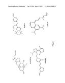 CD40 Signalling Inhibitor and a Further Compound, Wherein the Further     Compound is a Bile Acid, a Bile Acid Derivative, an TGR5-Receptor     Agonist, an FXR Agonist or a Combination Thereof, for the Treatment of     Chronic Inflammation, and the Prevention of Gastrointestinal Cancer or     Fibrosis diagram and image