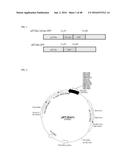 Cell-Penetrating Peptide, Conjugate Comprising Same and Composition     Comprising Same diagram and image