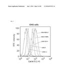 Cell-Penetrating Peptide, Conjugate Comprising Same and Composition     Comprising Same diagram and image