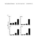 Cell-Penetrating Peptide, Conjugate Comprising Same and Composition     Comprising Same diagram and image