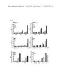 Cell-Penetrating Peptide, Conjugate Comprising Same and Composition     Comprising Same diagram and image