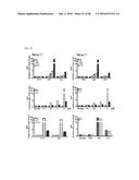 Cell-Penetrating Peptide, Conjugate Comprising Same and Composition     Comprising Same diagram and image