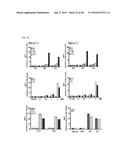 Cell-Penetrating Peptide, Conjugate Comprising Same and Composition     Comprising Same diagram and image