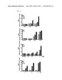 Cell-Penetrating Peptide, Conjugate Comprising Same and Composition     Comprising Same diagram and image