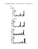 Cell-Penetrating Peptide, Conjugate Comprising Same and Composition     Comprising Same diagram and image