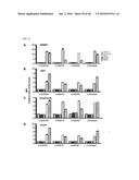 Cell-Penetrating Peptide, Conjugate Comprising Same and Composition     Comprising Same diagram and image