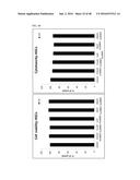 Cell-Penetrating Peptide, Conjugate Comprising Same and Composition     Comprising Same diagram and image