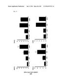 Cell-Penetrating Peptide, Conjugate Comprising Same and Composition     Comprising Same diagram and image