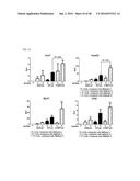 Cell-Penetrating Peptide, Conjugate Comprising Same and Composition     Comprising Same diagram and image