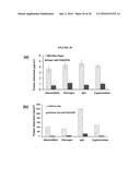 POLY(OLIGOETHYLENE GLYCOL METHACRYLATE) HYDROGEL COMPOSITIONS, AND METHODS     OF USE THEREOF diagram and image