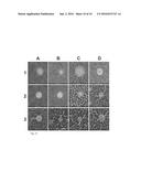 Porous Nanomembranes diagram and image