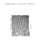 COMPOSITIONS AND METHODS FOR ARRANGING COLLOID PHASES diagram and image