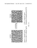 COMPOSITIONS AND METHODS FOR ARRANGING COLLOID PHASES diagram and image