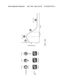 COMPOSITIONS AND METHODS FOR ARRANGING COLLOID PHASES diagram and image