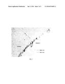 WIRE ELECTRODE FOR ELECTRICAL DISCHARGE MACHINING diagram and image