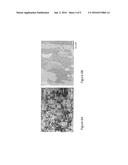 METHOD FOR MANUFACTURING A COMPONENT USING AN ADDITIVE MANUFACTURING     PROCESS diagram and image