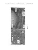 MICRO-NANO HIERARCHICAL STRUCTURE FOR DRAG REDUCTION AND MICROBIAL     ADHESION PREVENTION AND MARINE STRUCTURE COMPRISING THE SAME diagram and image