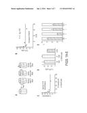 NOVEL ALLOSTERIC INHIBITORS OF PROTEASOME AND METHODS OF USE THEREOF diagram and image