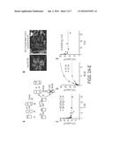 NOVEL ALLOSTERIC INHIBITORS OF PROTEASOME AND METHODS OF USE THEREOF diagram and image