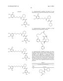 NOVEL ALLOSTERIC INHIBITORS OF PROTEASOME AND METHODS OF USE THEREOF diagram and image