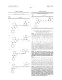 NOVEL ALLOSTERIC INHIBITORS OF PROTEASOME AND METHODS OF USE THEREOF diagram and image