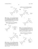 Nuclear Transport Modulators and Uses Thereof diagram and image