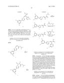 Nuclear Transport Modulators and Uses Thereof diagram and image