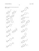 SUBSTITUTED 6,5-FUSED BICYCLIC HETEROARYL COMPOUNDS diagram and image