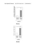 Compositions and Methods of Treatment of Cancers diagram and image