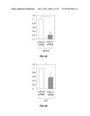 Compositions and Methods of Treatment of Cancers diagram and image