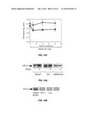 Compositions and Methods of Treatment of Cancers diagram and image