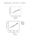 Compositions and Methods of Treatment of Cancers diagram and image