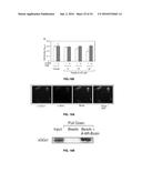 Compositions and Methods of Treatment of Cancers diagram and image