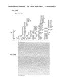 RECOMBINANT VIRAL VECTORS diagram and image