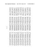 FIBRONECTIN BASED SCAFFOLD DOMAINS LINKED TO SERUM ALBUMIN OR MOIETY     BINDING THERETO diagram and image