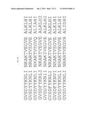 FIBRONECTIN BASED SCAFFOLD DOMAINS LINKED TO SERUM ALBUMIN OR MOIETY     BINDING THERETO diagram and image