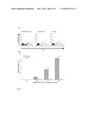 A NEW FUSION PROTEIN TO TARGET AND TREAT ACUTE MYLOID LEUKEMIA CELLS diagram and image