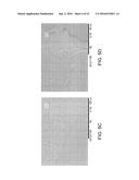 NANOFIBRIL-POLYMER COMPOSITES diagram and image