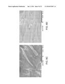 NANOFIBRIL-POLYMER COMPOSITES diagram and image