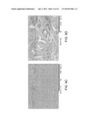 NANOFIBRIL-POLYMER COMPOSITES diagram and image