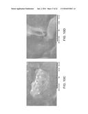 NANOFIBRIL-POLYMER COMPOSITES diagram and image