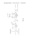 Methods and Compositions for the Recombinant Biosynthesis of N-Alkanes diagram and image