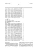 RECOMBINANT PROTEIN PRODUCTION IN HETEROLOGOUS SYSTEMS diagram and image