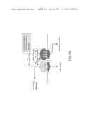 RECOMBINANT PROTEIN PRODUCTION IN HETEROLOGOUS SYSTEMS diagram and image