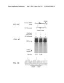 DELIVERY, ENGINEERING AND OPTIMIZATION OF SYSTEMS, METHODS AND     COMPOSITIONS FOR TARGETING AND MODELING DISEASES AND DISORDERS OF POST     MITOTIC CELLS diagram and image