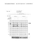 DELIVERY, ENGINEERING AND OPTIMIZATION OF SYSTEMS, METHODS AND     COMPOSITIONS FOR TARGETING AND MODELING DISEASES AND DISORDERS OF POST     MITOTIC CELLS diagram and image