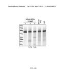 DELIVERY, ENGINEERING AND OPTIMIZATION OF SYSTEMS, METHODS AND     COMPOSITIONS FOR TARGETING AND MODELING DISEASES AND DISORDERS OF POST     MITOTIC CELLS diagram and image