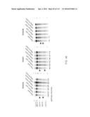 DELIVERY, ENGINEERING AND OPTIMIZATION OF SYSTEMS, METHODS AND     COMPOSITIONS FOR TARGETING AND MODELING DISEASES AND DISORDERS OF POST     MITOTIC CELLS diagram and image