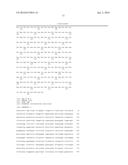 COMPOSITIONS AND METHODS FOR THE BIOSYNTHESIS OF VANILLIN OR VANILLIN     BETA-D-GLUCOSIDE diagram and image